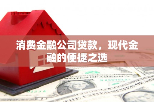 漳州消费金融公司贷款，现代金融的便捷之选