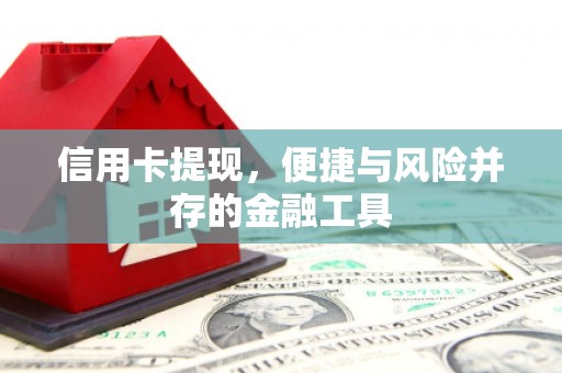 漳州信用卡提现，便捷与风险并存的金融工具