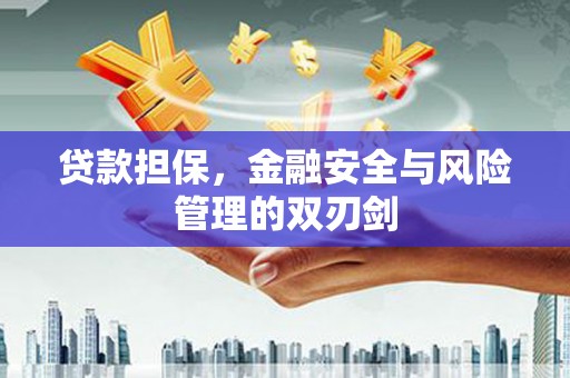 漳州贷款担保，金融安全与风险管理的双刃剑