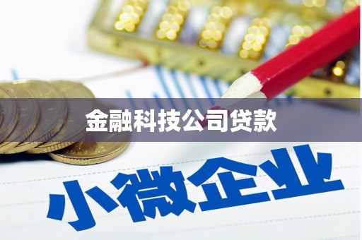 漳州金融科技公司贷款
