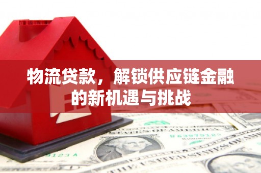 漳州物流贷款，解锁供应链金融的新机遇与挑战