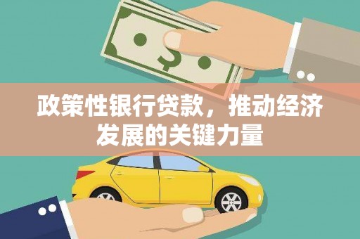 漳州政策性银行贷款，推动经济发展的关键力量