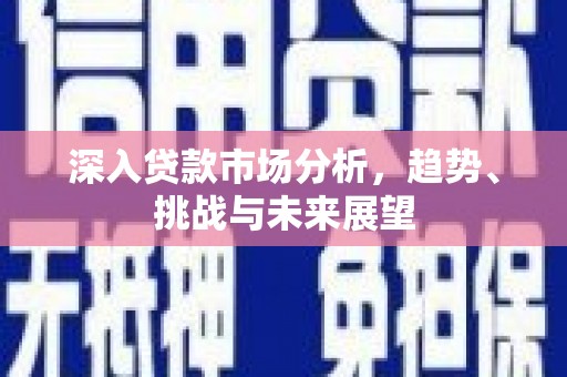 漳州深入贷款市场分析，趋势、挑战与未来展望