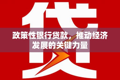 漳州政策性银行贷款，推动经济发展的关键力量