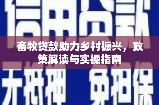 漳州畜牧贷款助力乡村振兴，政策解读与实操指南