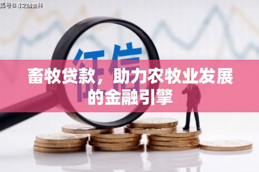 漳州畜牧贷款，助力农牧业发展的金融引擎