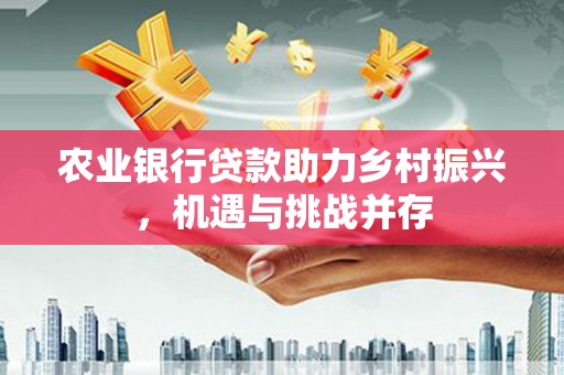 漳州农业银行贷款助力乡村振兴，机遇与挑战并存