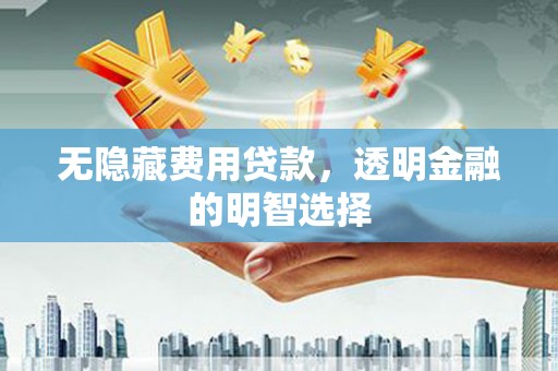 漳州无隐藏费用贷款，透明金融的明智选择