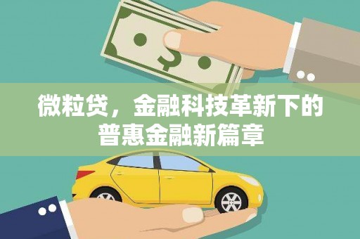 漳州微粒贷，金融科技革新下的普惠金融新篇章