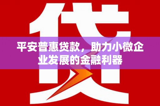 漳州平安普惠贷款，助力小微企业发展的金融利器