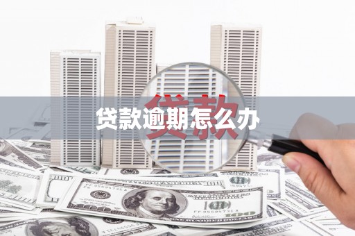 漳州贷款逾期怎么办