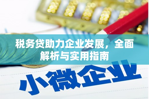 漳州税务贷助力企业发展，全面解析与实用指南
