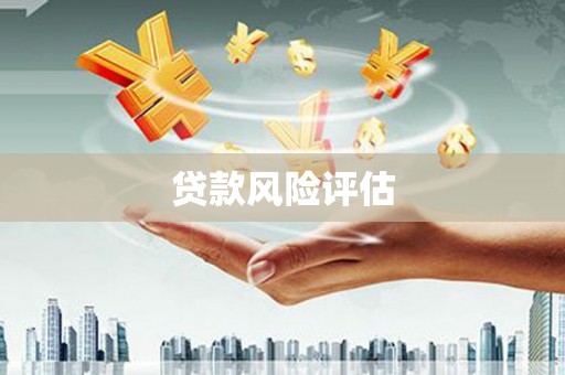 漳州贷款风险评估