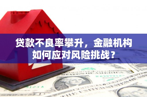 漳州贷款不良率攀升，金融机构如何应对风险挑战？