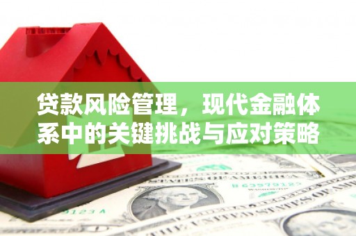 漳州贷款风险管理，现代金融体系中的关键挑战与应对策略