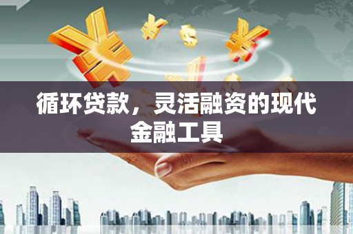 漳州循环贷款，灵活融资的现代金融工具
