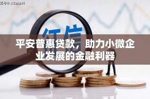 漳州平安普惠贷款，助力小微企业发展的金融利器