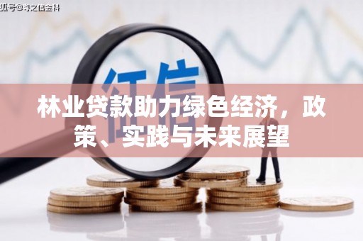 漳州林业贷款助力绿色经济，政策、实践与未来展望
