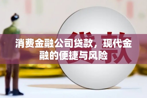 漳州消费金融公司贷款，现代金融的便捷与风险