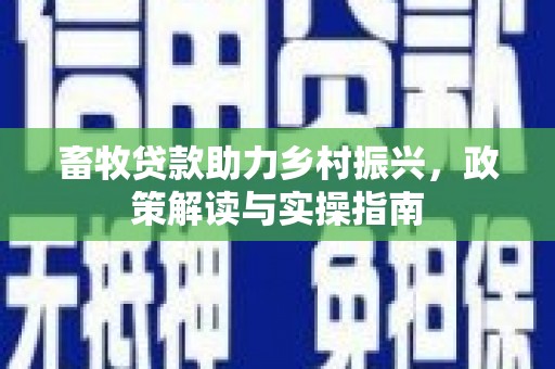 漳州畜牧贷款助力乡村振兴，政策解读与实操指南