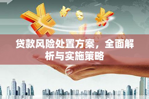 漳州贷款风险处置方案，全面解析与实施策略
