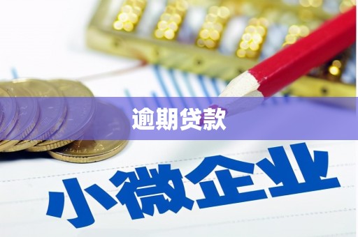 漳州逾期贷款