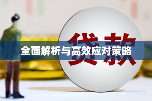漳州全面解析与高效应对策略